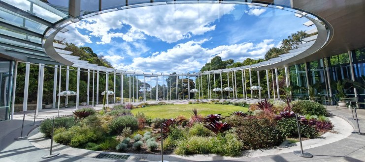 Calyx